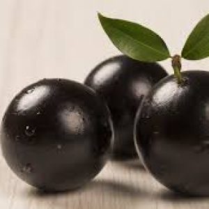jabuticaba